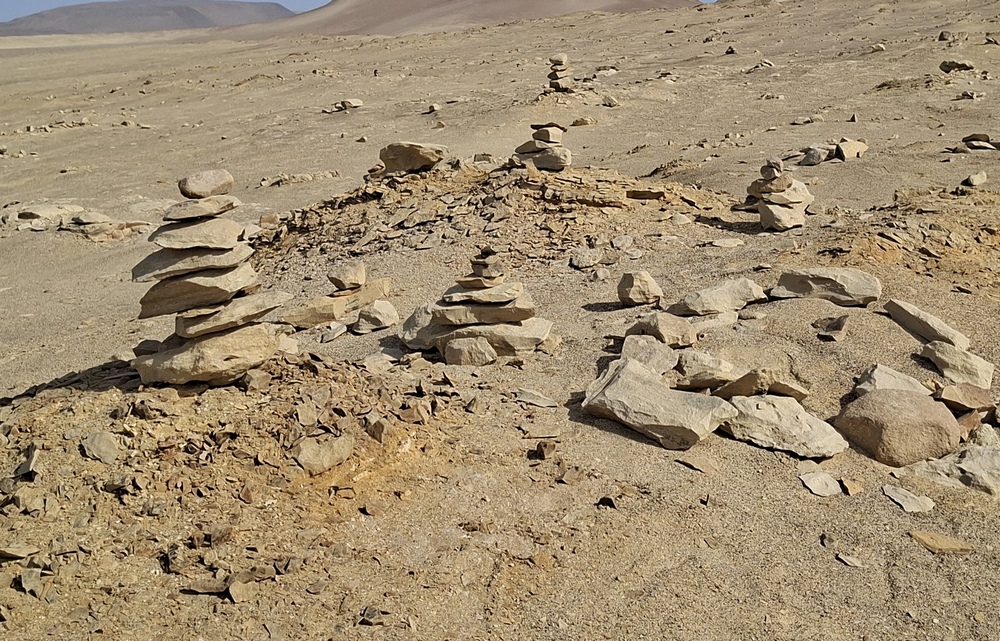 2026-03-23 Paracas 20260323_154044_ji.jpg